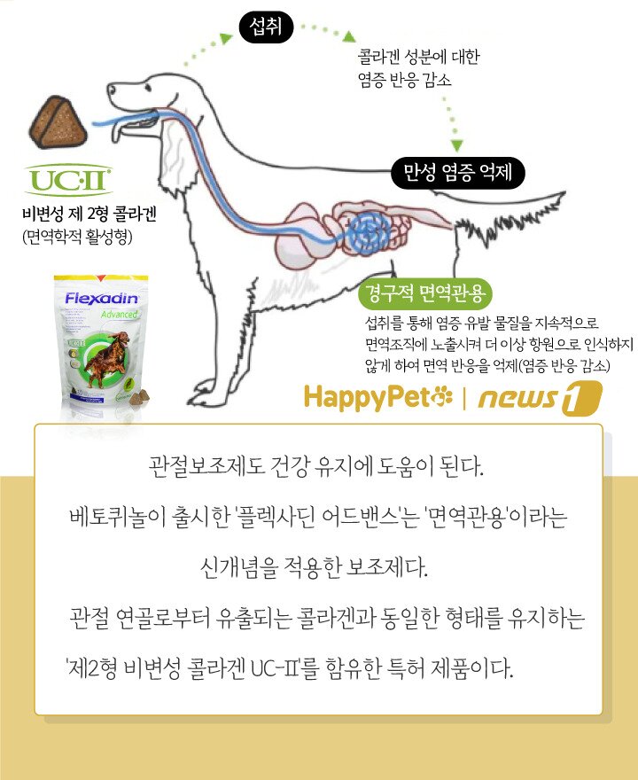 본문 이미지 - ⓒ 뉴스1