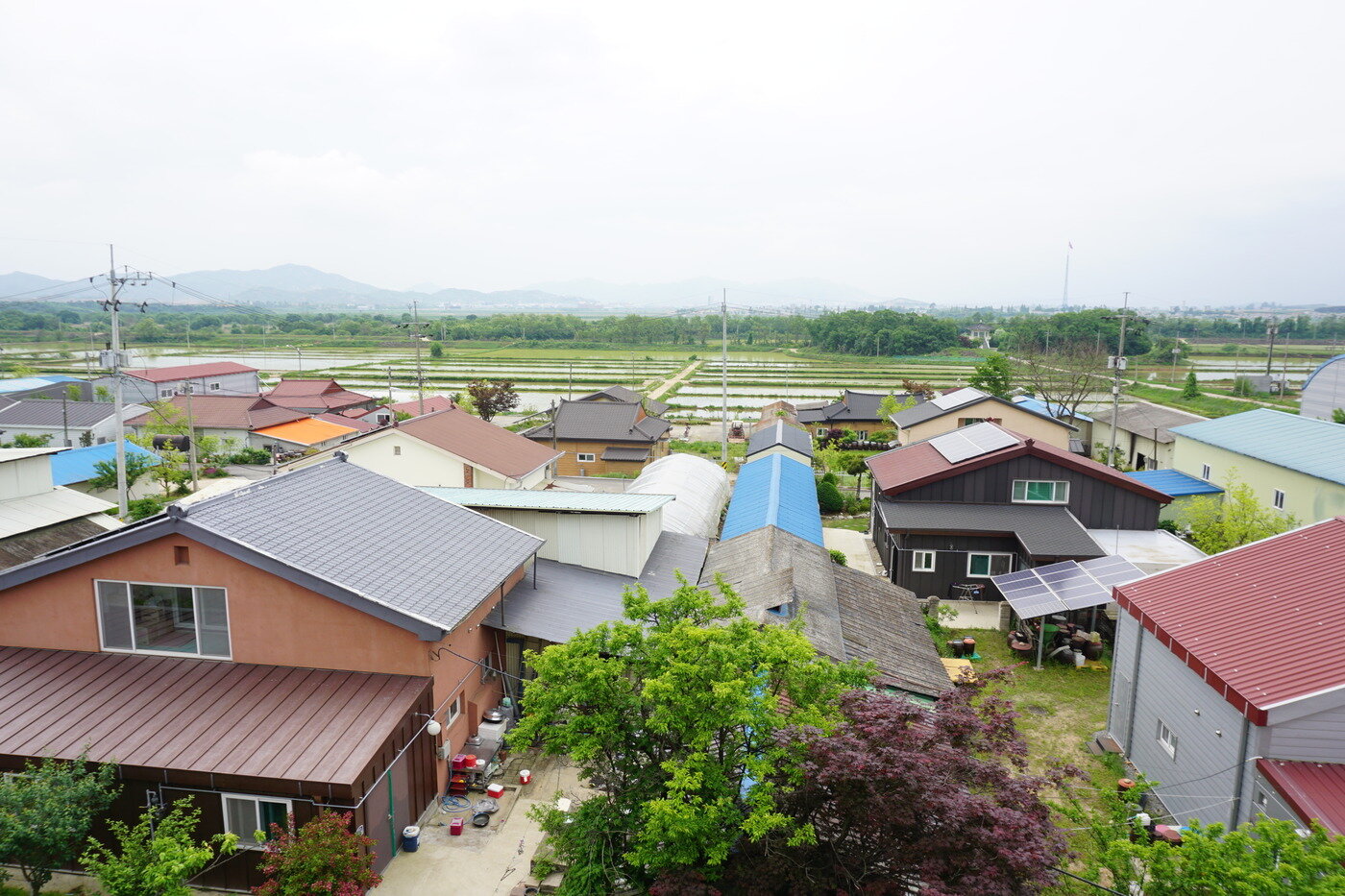 본문 이미지 - 대성동 마을 전경. 마을회관에서 촬영.(국립문화재연구소 제공)ⓒ 뉴스1