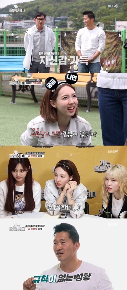 본문 이미지 - 사진 '개는 훌륭하다' 방송 ⓒ 뉴스1