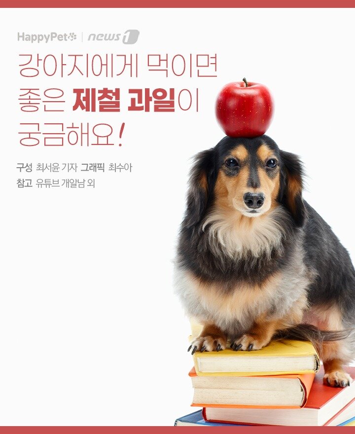 본문 이미지 -  