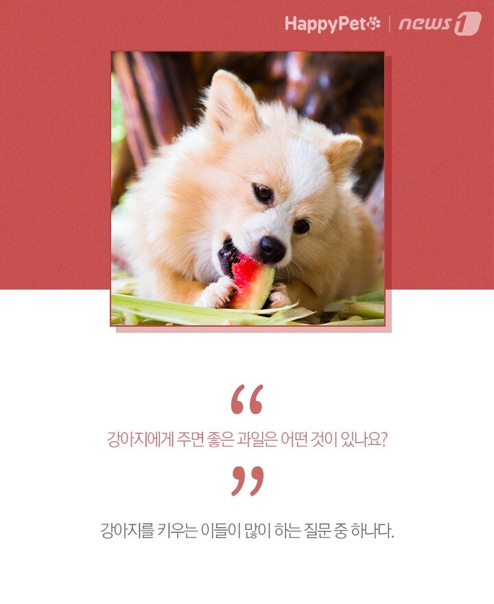 본문 이미지 -  