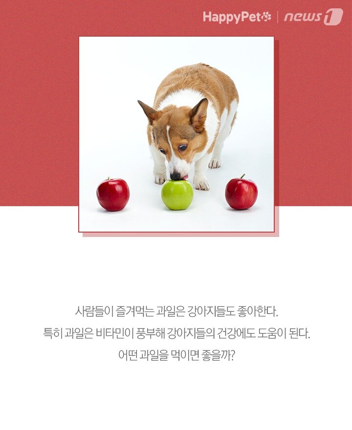 본문 이미지 -  