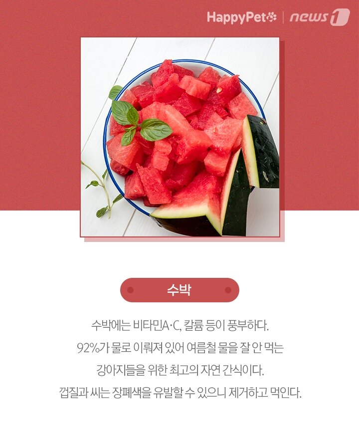 본문 이미지 -  