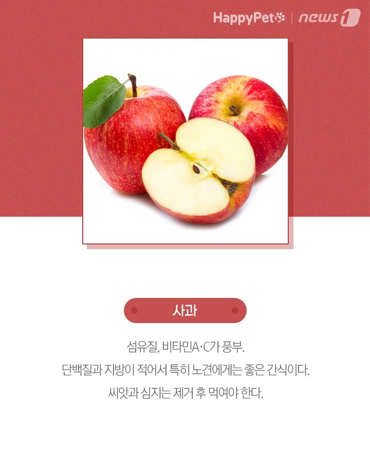본문 이미지 -  