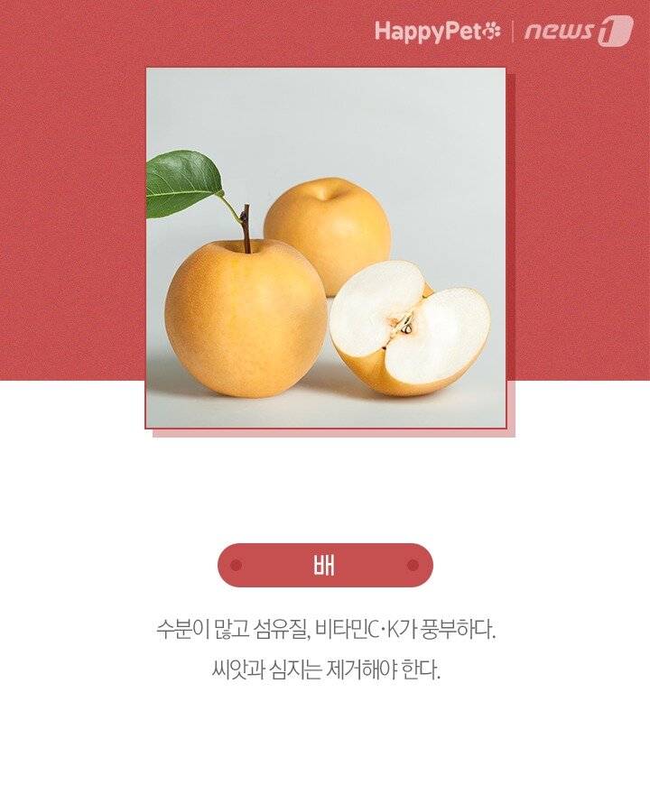 본문 이미지 -  