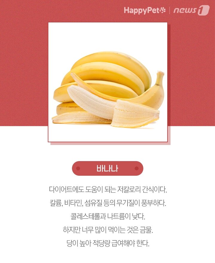 본문 이미지 -  
