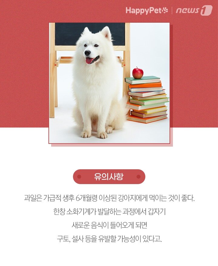 본문 이미지 -  