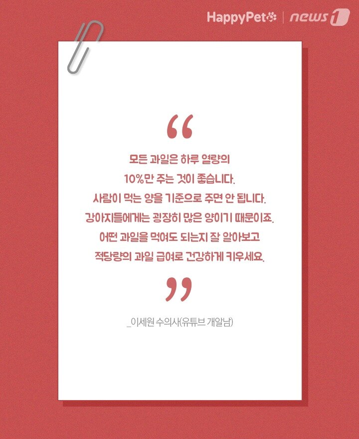 본문 이미지 -  
