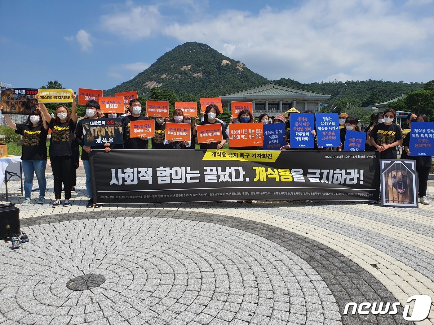 본문 이미지 - 동물단체는 초복인 16일 서울 청와대 분수대 앞에서 기자회견을 열고 "정부와 국회는 국민 염원인 개식용 금지를 위해 개를 가축에서 제외하라"고 주장했다. ⓒ 뉴스1 최서윤 기자