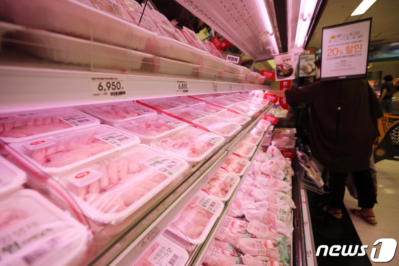 본문 이미지 - 초복인 16일 오후 서울 시내의 한 대형마트에서 시민들이 생닭을 고르고 있다. 2020.7.16/뉴스1 ⓒ News1 이승배 기자