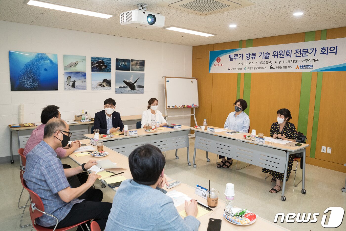 본문 이미지 - 롯데월드 아쿠아리움은 지난 14일 벨루가 방류기술위원회를 발족했다. 가운데 책상 왼쪽에서 첫번째 롯데월드 아쿠아리움 고정락 관장, 두번째 롯데월드 아쿠아리움 해양생물센터 정지윤 팀장 ⓒ 뉴스1