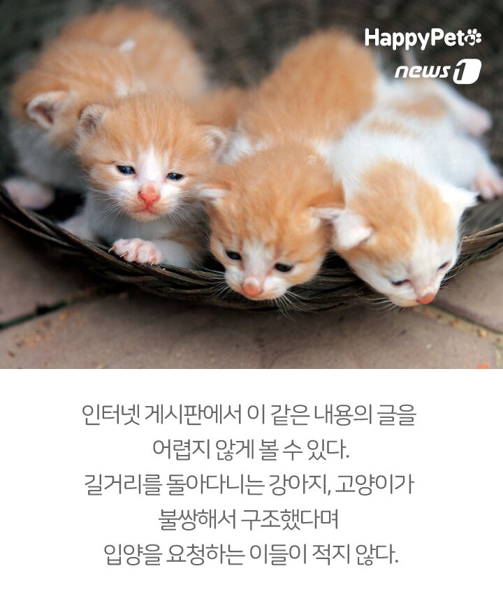 본문 이미지 -  