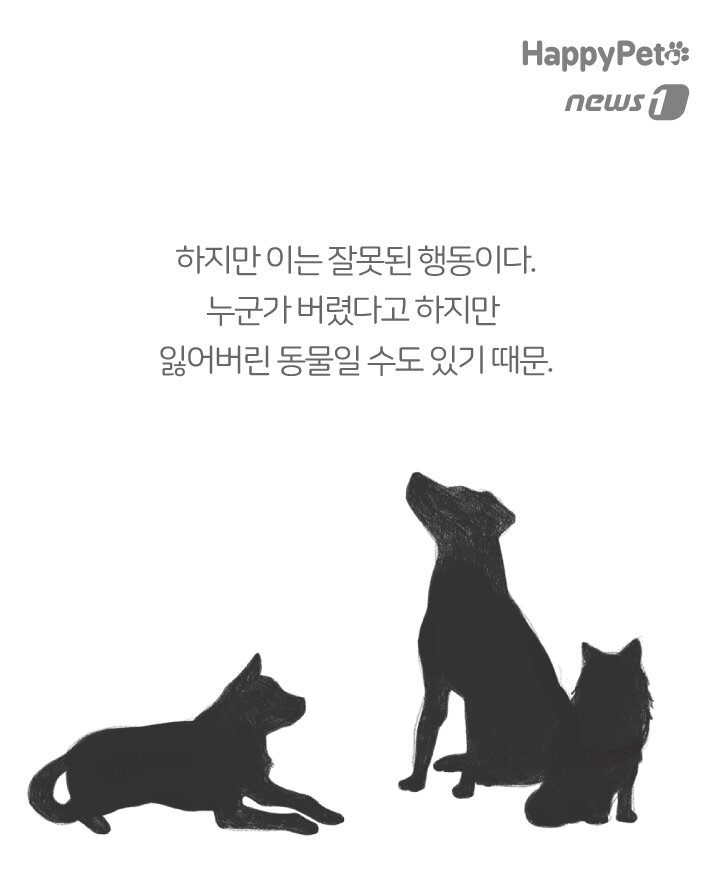 본문 이미지 -  