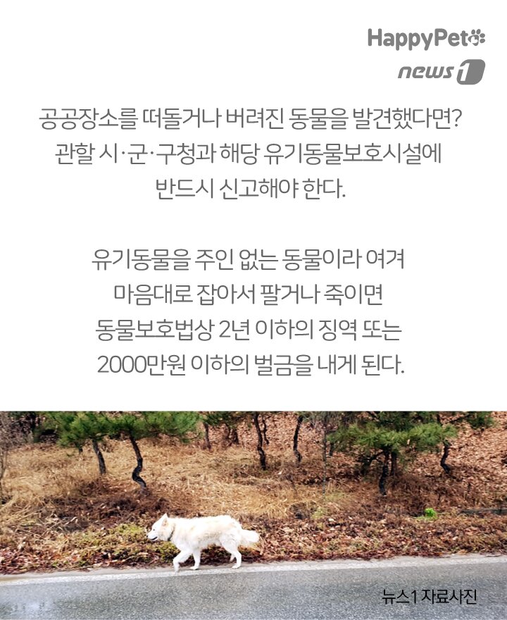 본문 이미지 -  