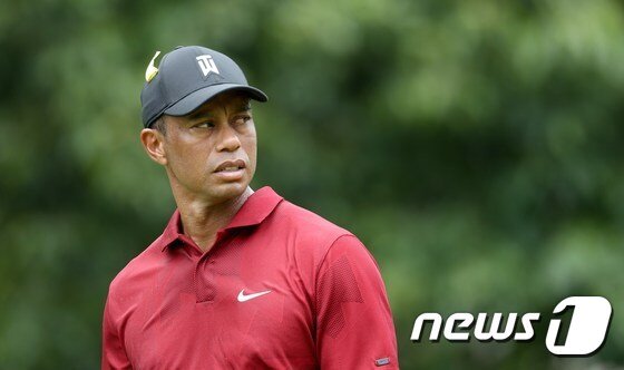 본문 이미지 - '골프 황제' 타이거 우즈. ⓒ 뉴스1