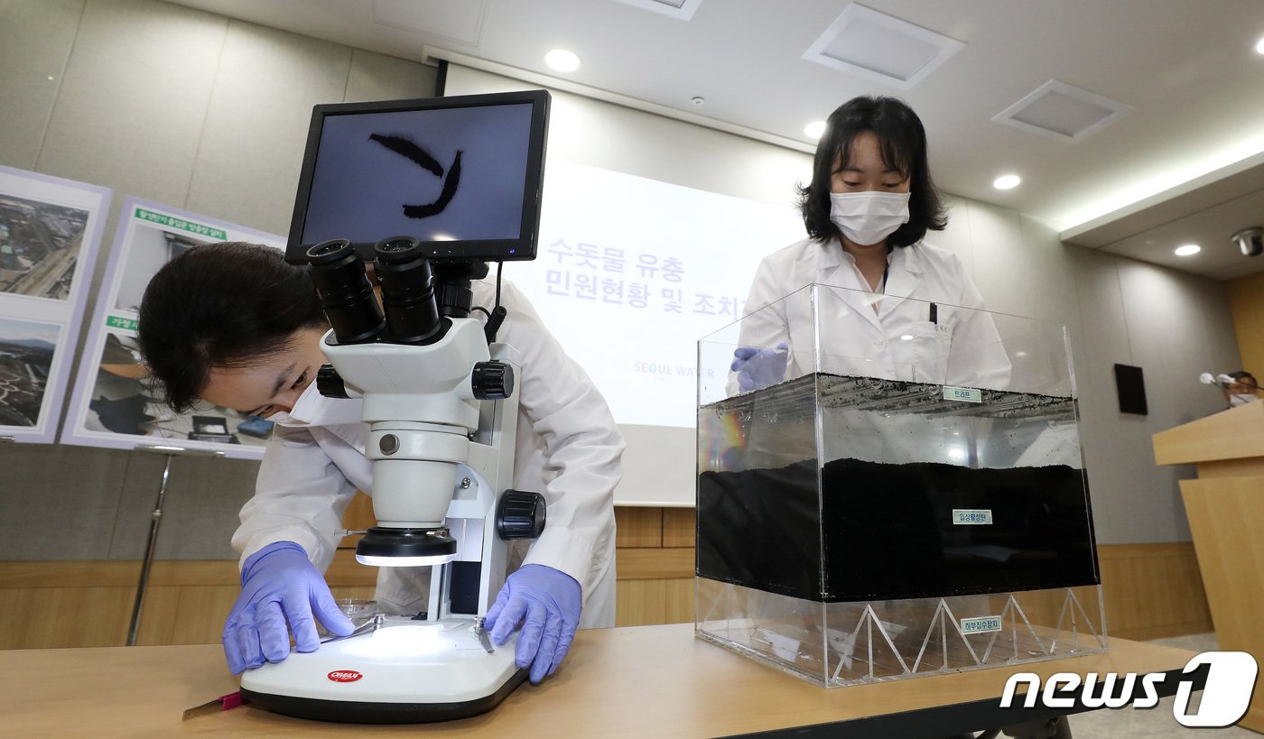 본문 이미지 - 서울시 상수도사업본부 물연구원들이 유충을 현미경으로 확인하고 있다.  ⓒ News1 박지혜 기자