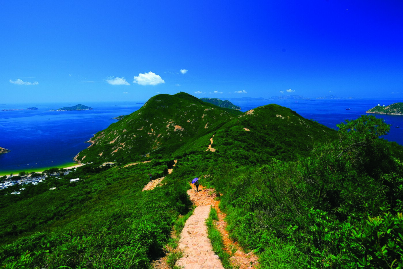 본문 이미지 - 드래곤스 백