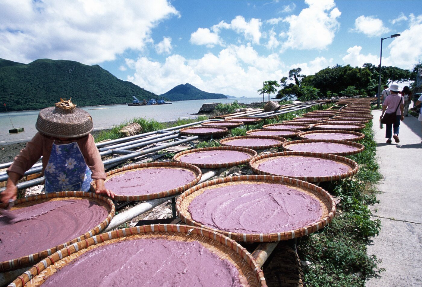 본문 이미지 - 타이오의 풍경