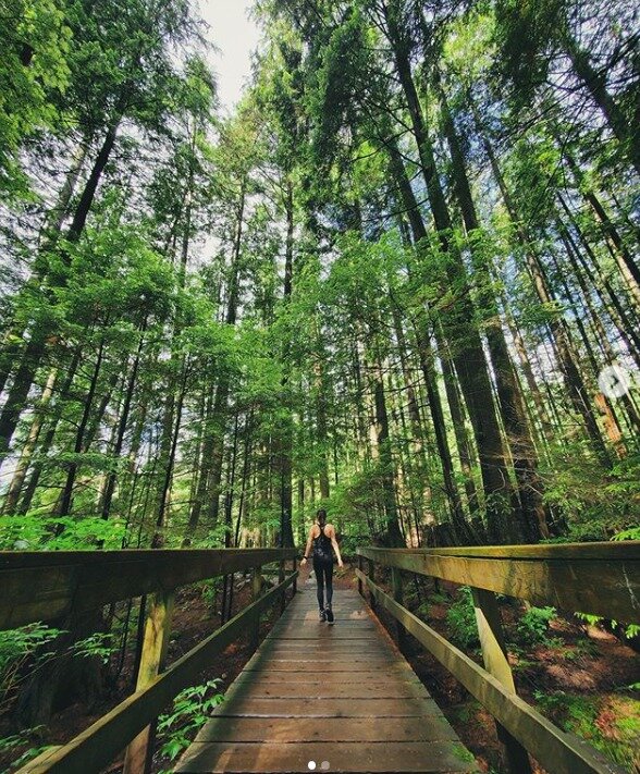 본문 이미지 - 가수 지나 인스타그램 ⓒ 뉴스1