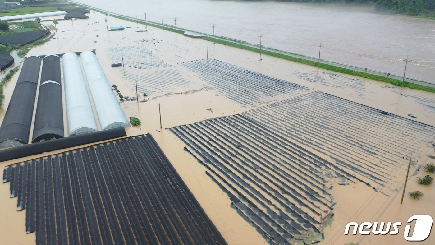 본문 이미지 - 지난 2020년 8월 9일 오전 충남 금산 평촌리 일대 지역에 용담댐 방류에 따른 침수 피해가 속출했다. (금산군 제공) 2020.8.10/뉴스1 ⓒ News1 심영석 기자