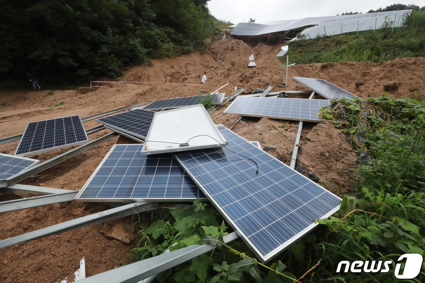 11일 오후 집중호우로 인한 산사태 피해를 입은 충북 제천시 대랑동의 한 태양광 발전시설에서 관계자가 복구작업을 하고 있다. 2020.8.11/뉴스1 ⓒ News1 박세연 기자