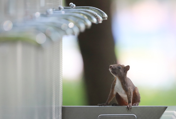 "정수기 렌탈 끝나고 철거비?"…주요 렌탈 9개사에 개선 권고