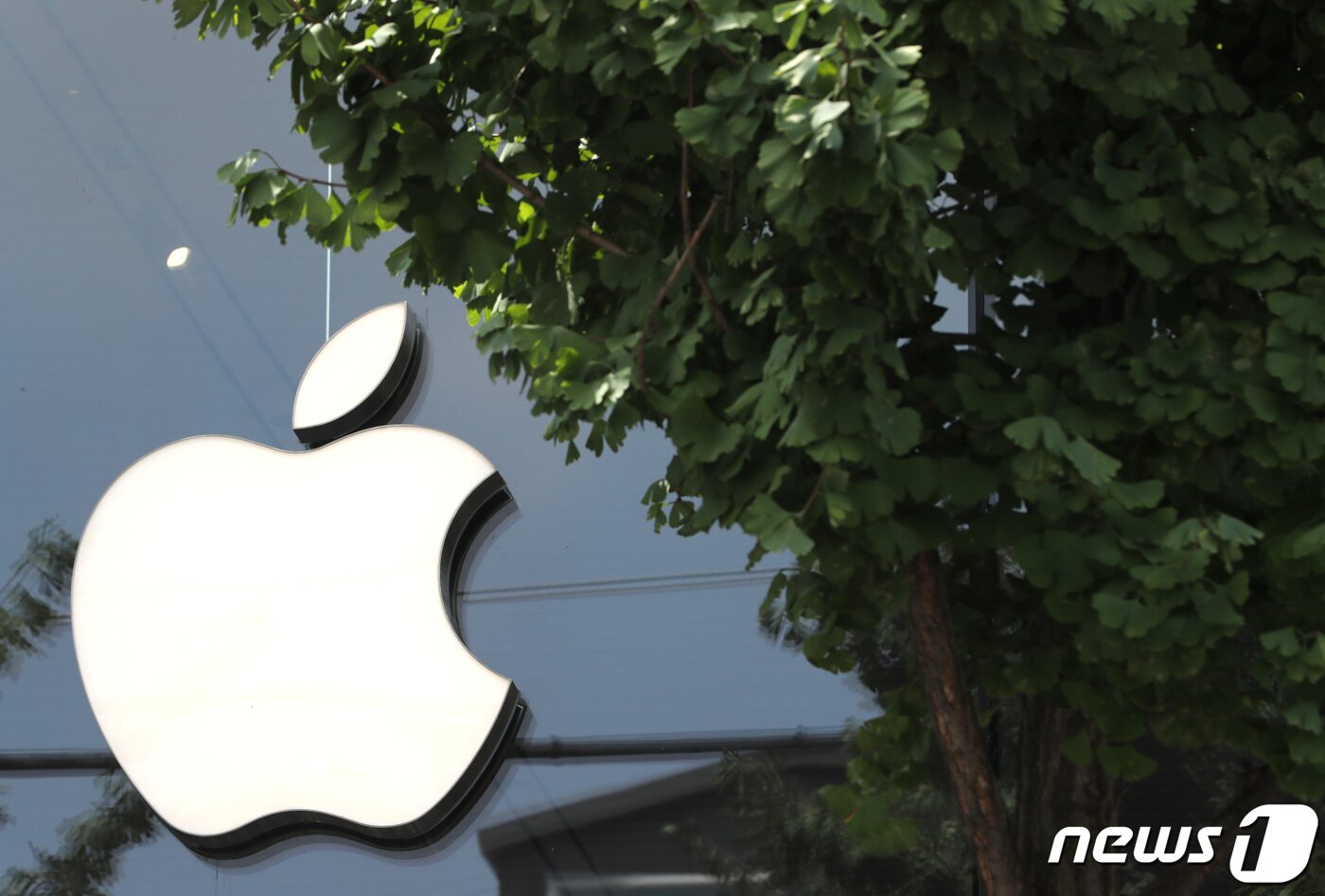 본문 이미지 -  서울 신사동 가로수길 애플 매장의 로고 모습. 2020.8.24/뉴스1 ⓒ News1 이성철 기자