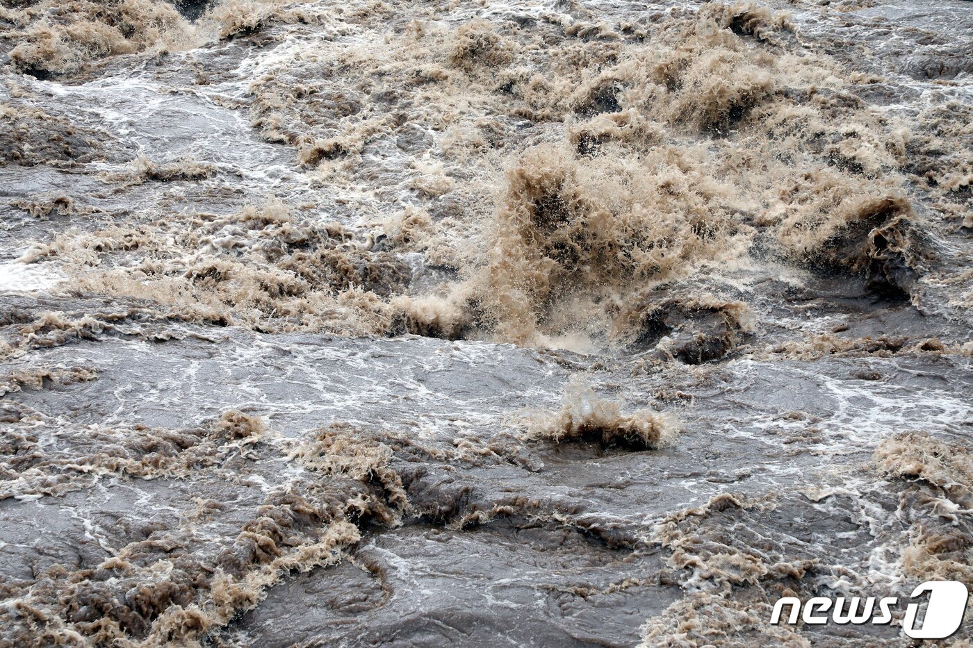 본문 이미지 - 제주시 용담1동에 있는 '한천'에 크게 불어난 흙탕물이 콸콸 흐르고 있다. 한천은 평소 물이 거의 흐르지 않는 건천이다.2020.8.26/뉴스1 ⓒ News1 오미란 기자