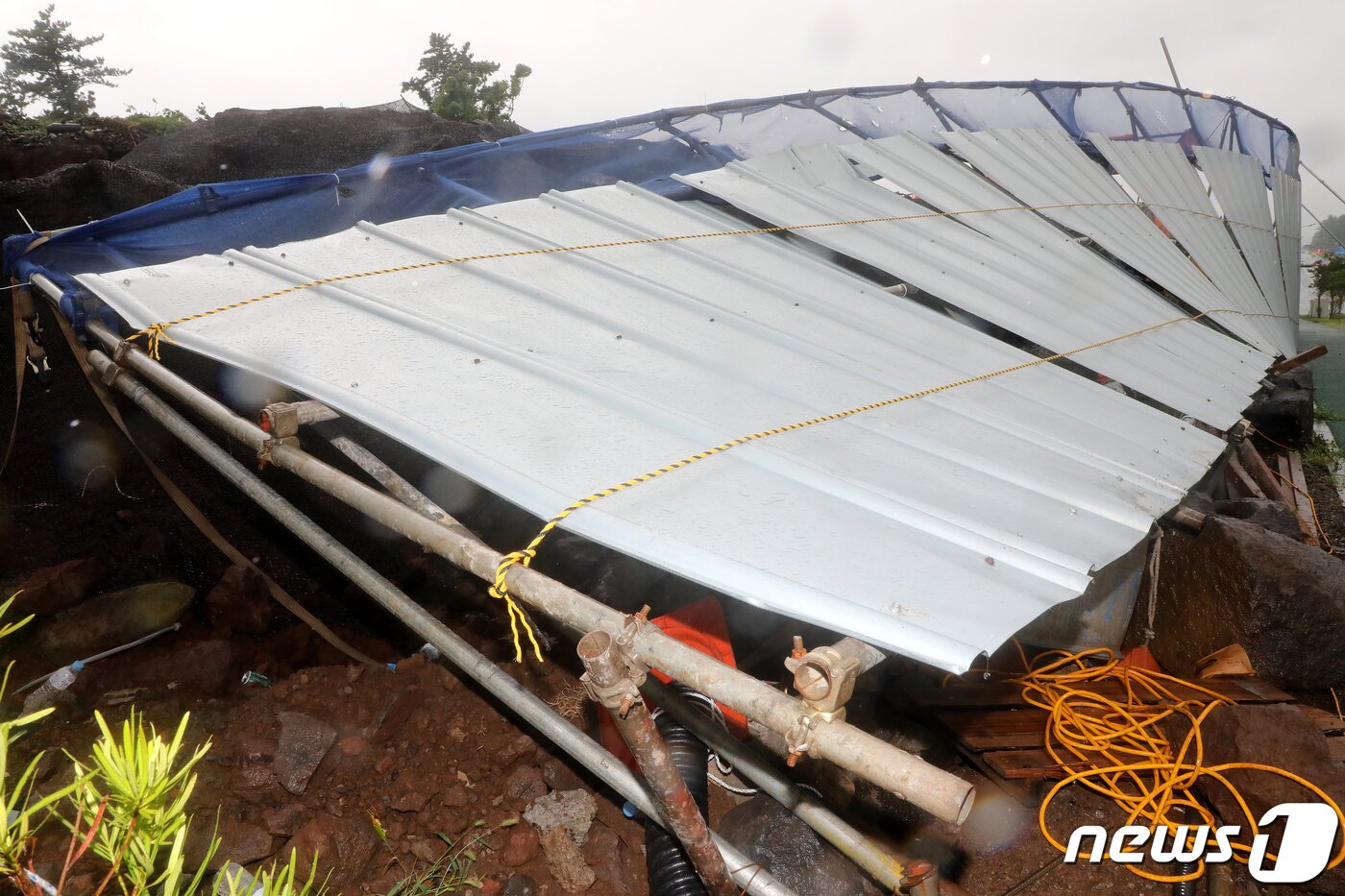 본문 이미지 - 26일 오후 제주시 오라2동 연북로의 한 공사장 펜스가 제8호 태풍 '바비(BAVI)'의 강풍을 이기지 못하고 쓰러져 있다.2020.8.26 /뉴스1 ⓒ News1 오미란 기자