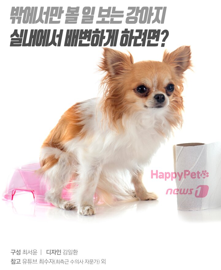 본문 이미지 -  