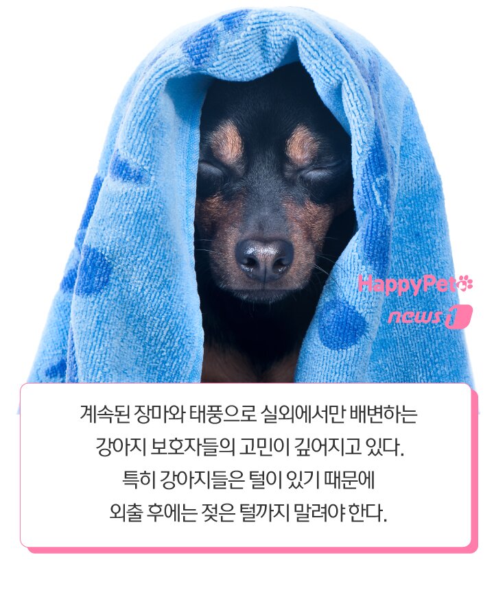 본문 이미지 -  
