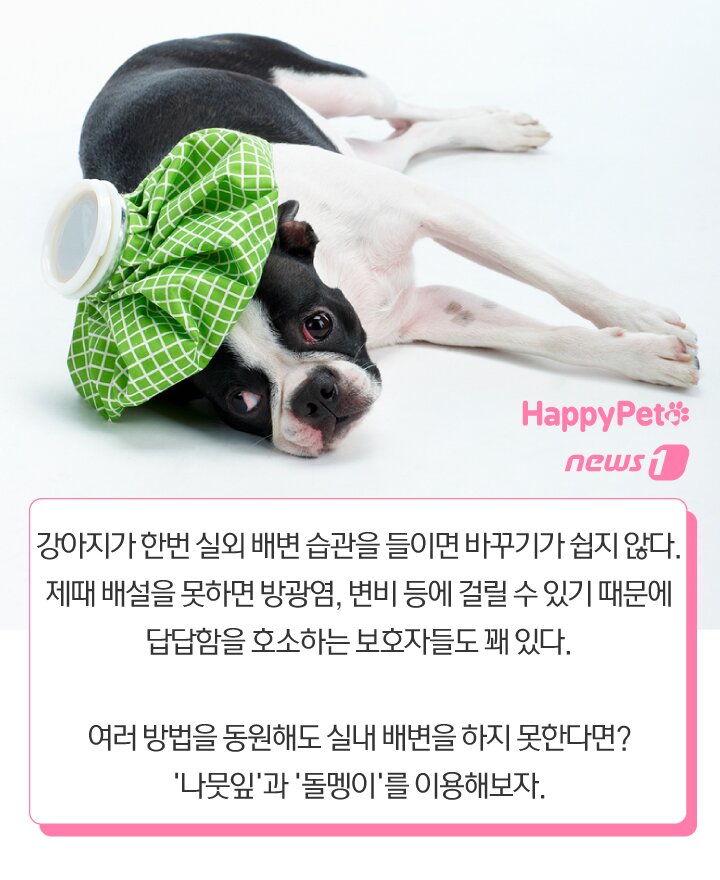 본문 이미지 -  