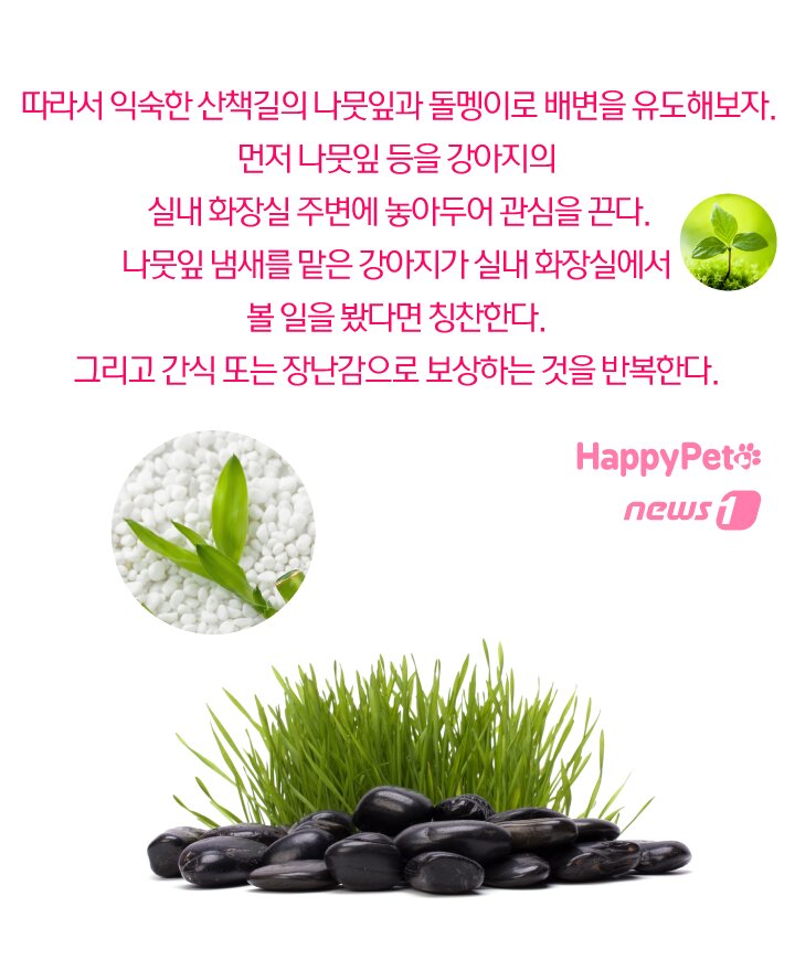본문 이미지 -  