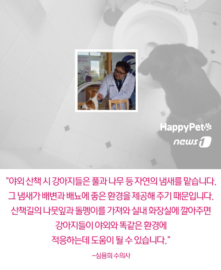 본문 이미지 -  