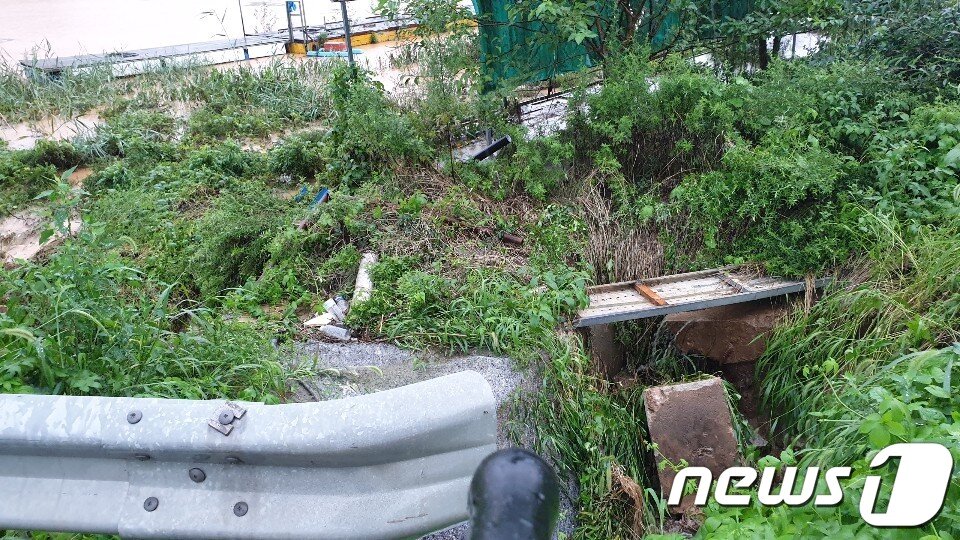 본문 이미지 - 이천 율면 본죽리 본죽저수지 배수로 주변 모습.(독자제공)ⓒ News1