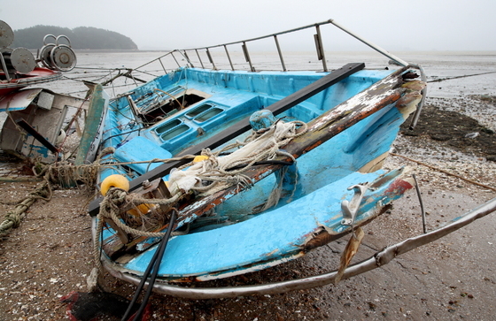 [오늘의 날씨] 대전·충남(22일, 일)…서부권 70㎞/h 강풍
