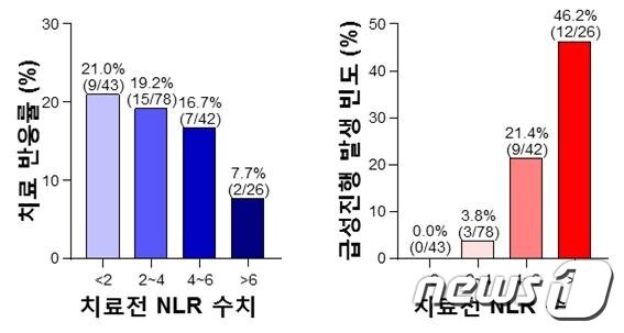 본문 이미지 - 호중구,림프구의 비율&#40;NLR 수치&#41;에 따른 간암 치료 반응률 및 급성진행 발생 빈도ⓒ 뉴스1