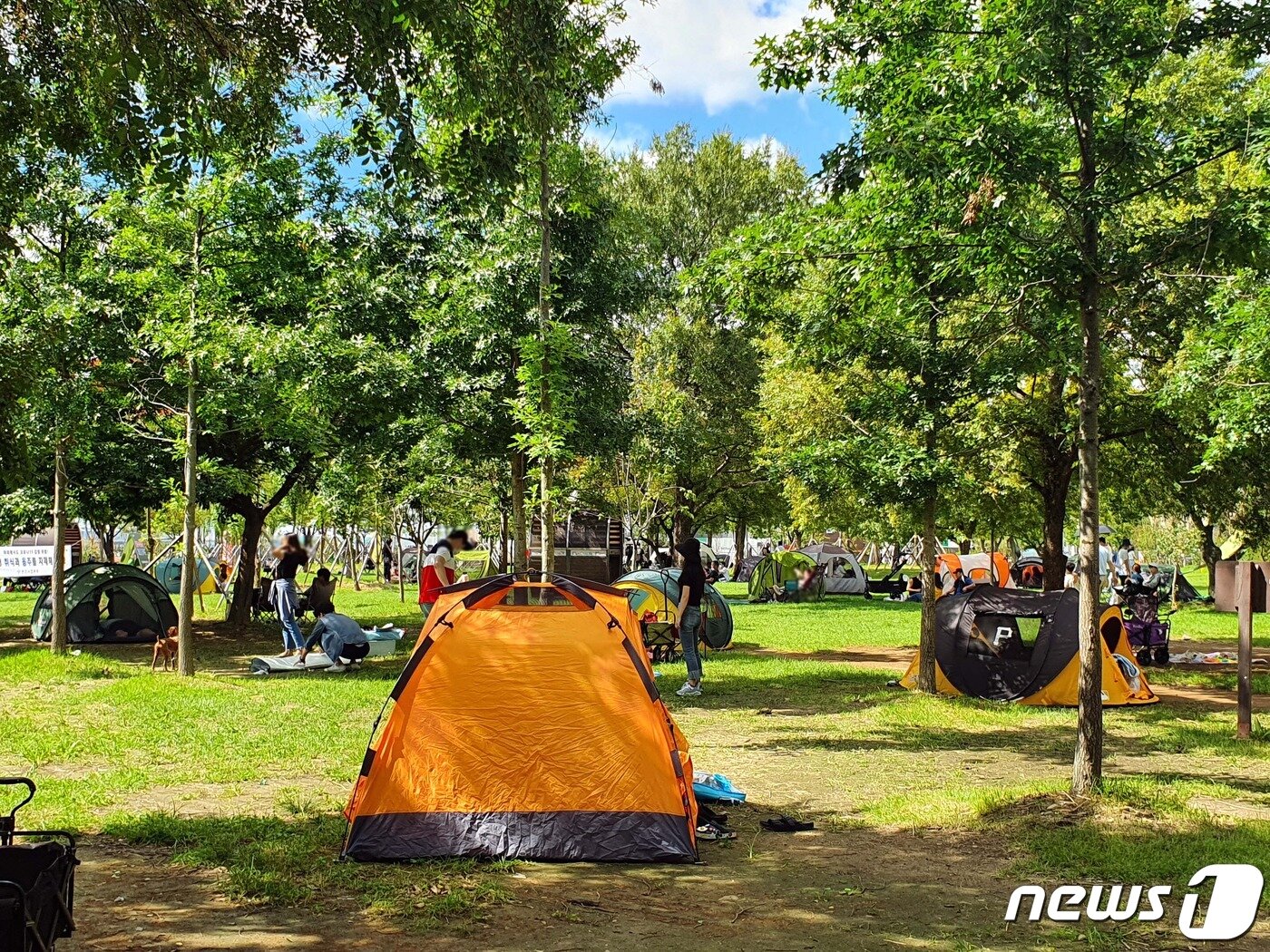 본문 이미지 - 13일 오후 서울 마포구 망원한강공원에서 시민들이 여가를 즐기고 있다. ⓒ 뉴스1
