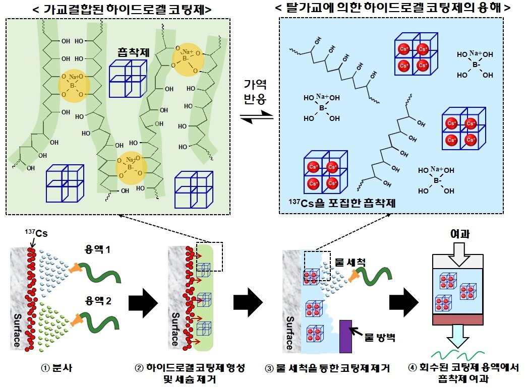 본문 이미지 - 점착형 하이드로겔 기반 코팅제의 표면오염 제염 과정 개념도 (한국원자력연구원 제공) 2020.09.16 /뉴스1