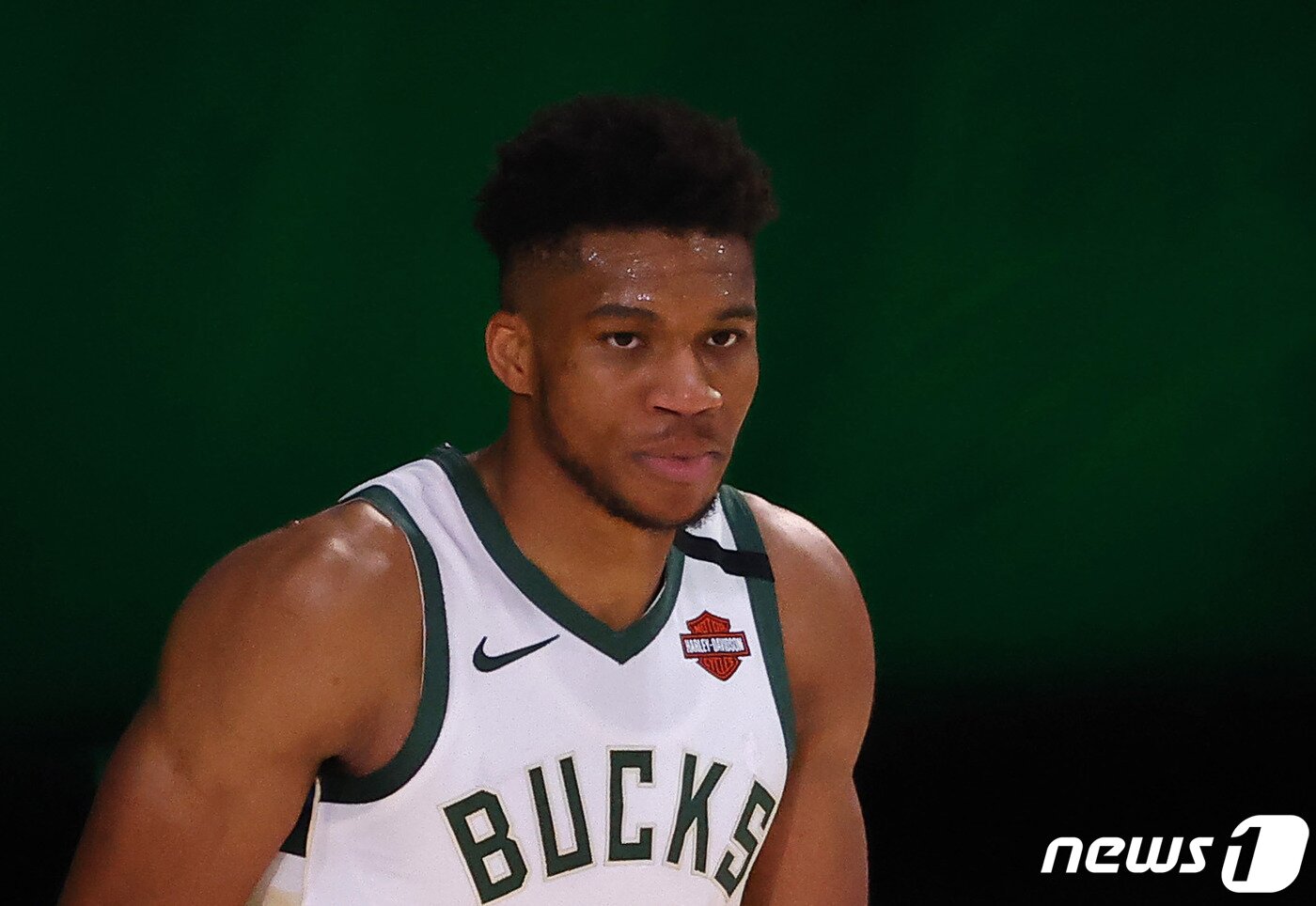 본문 이미지 - 2시즌 연속 정규시즌 MVP에 선정된 야니스 안테토쿤보. ⓒ AFP=뉴스1