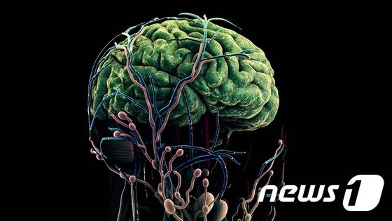인간의 뇌를 형상화한 그래픽. (삼성전자 제공) 2020.9.20/뉴스1