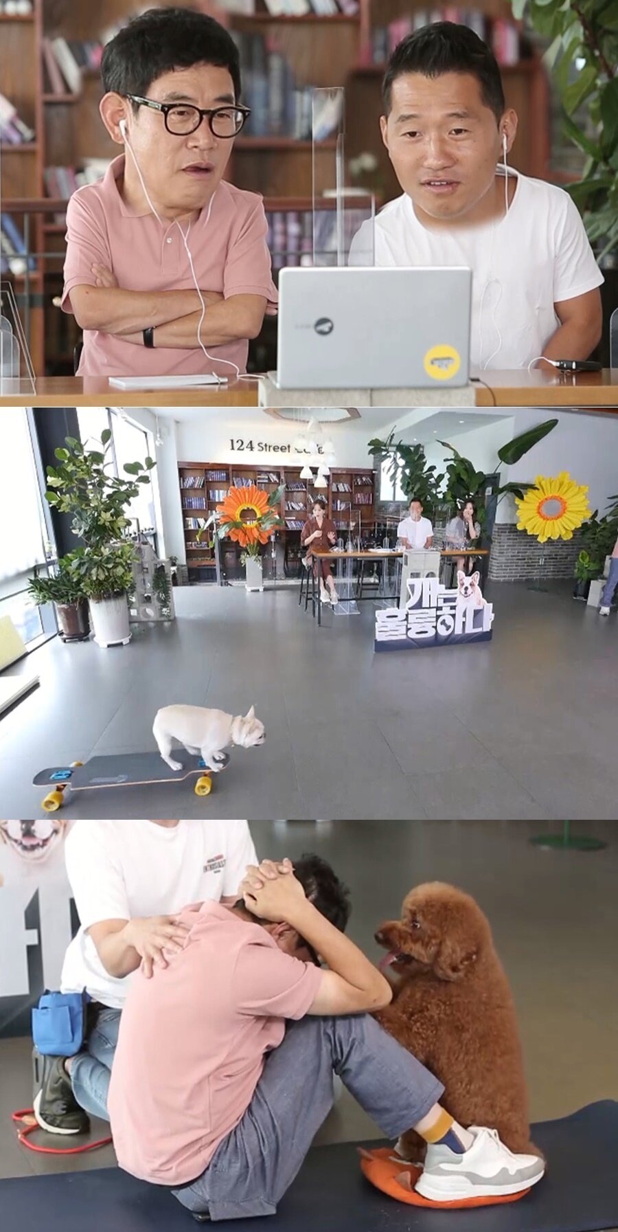 본문 이미지 - 사진 개는 훌륭하다 제공 ⓒ 뉴스1