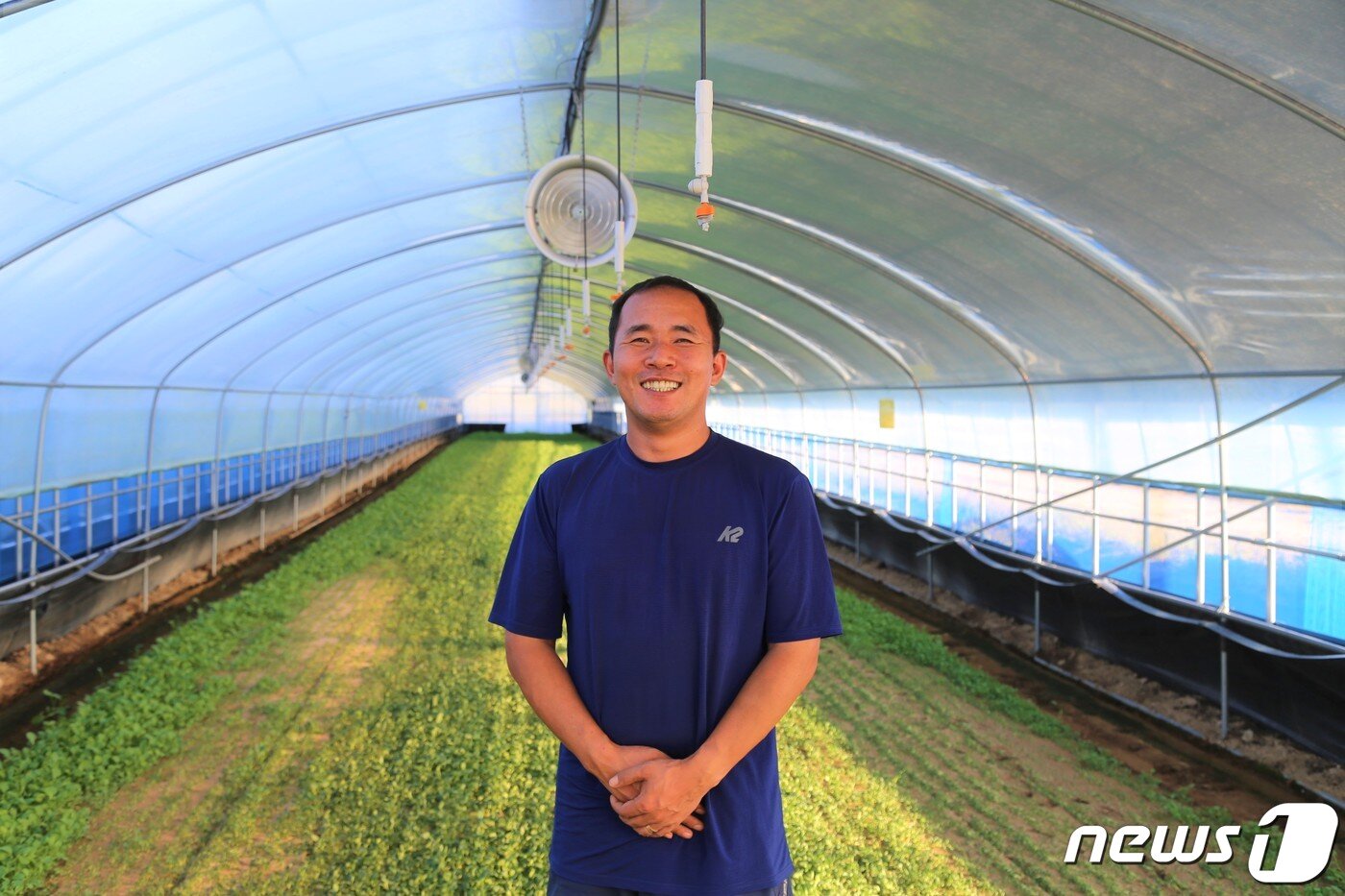 본문 이미지 - 김은호 바른농작 대표는 올해로 귀농 3년차를 맞이했다. 올해는 제2농장을 마련해 총 19동의 비닐하우스 시설을 관리하고 있다.2020.9.25 /ⓒ 뉴스1 이지선 기자