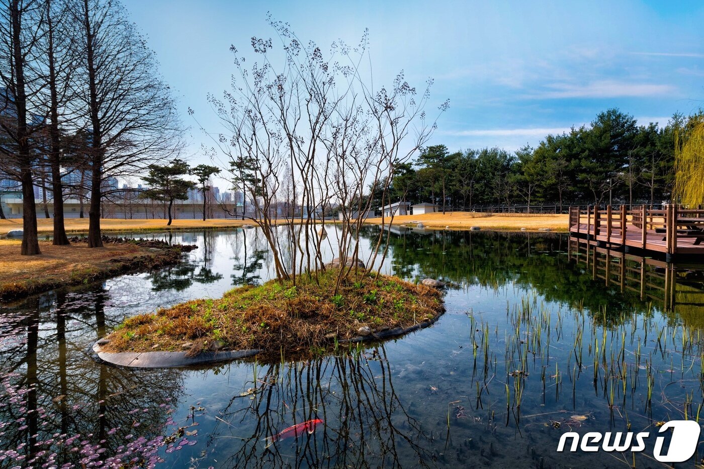 본문 이미지 - 삼성전자 화성사업장 내 방류수로 만든 연못.(삼성전자 제공)ⓒ 뉴스1