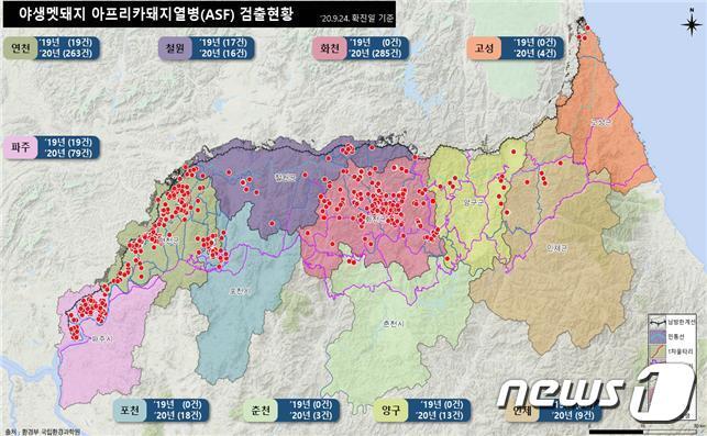 본문 이미지 - 9월 25일 기준 야생멧돼지 아프리카돼지열병(ASF) 발생 현황. (환경부 제공) ⓒ 뉴스1