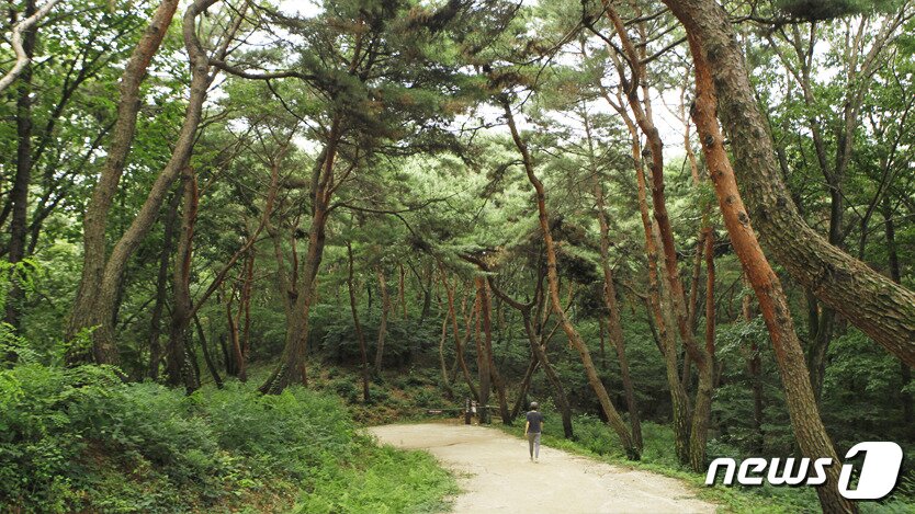 본문 이미지 - ‘여주 여강길 4구간(5일장터길)’(경기관광공사 제공)/ⓒ 뉴스1