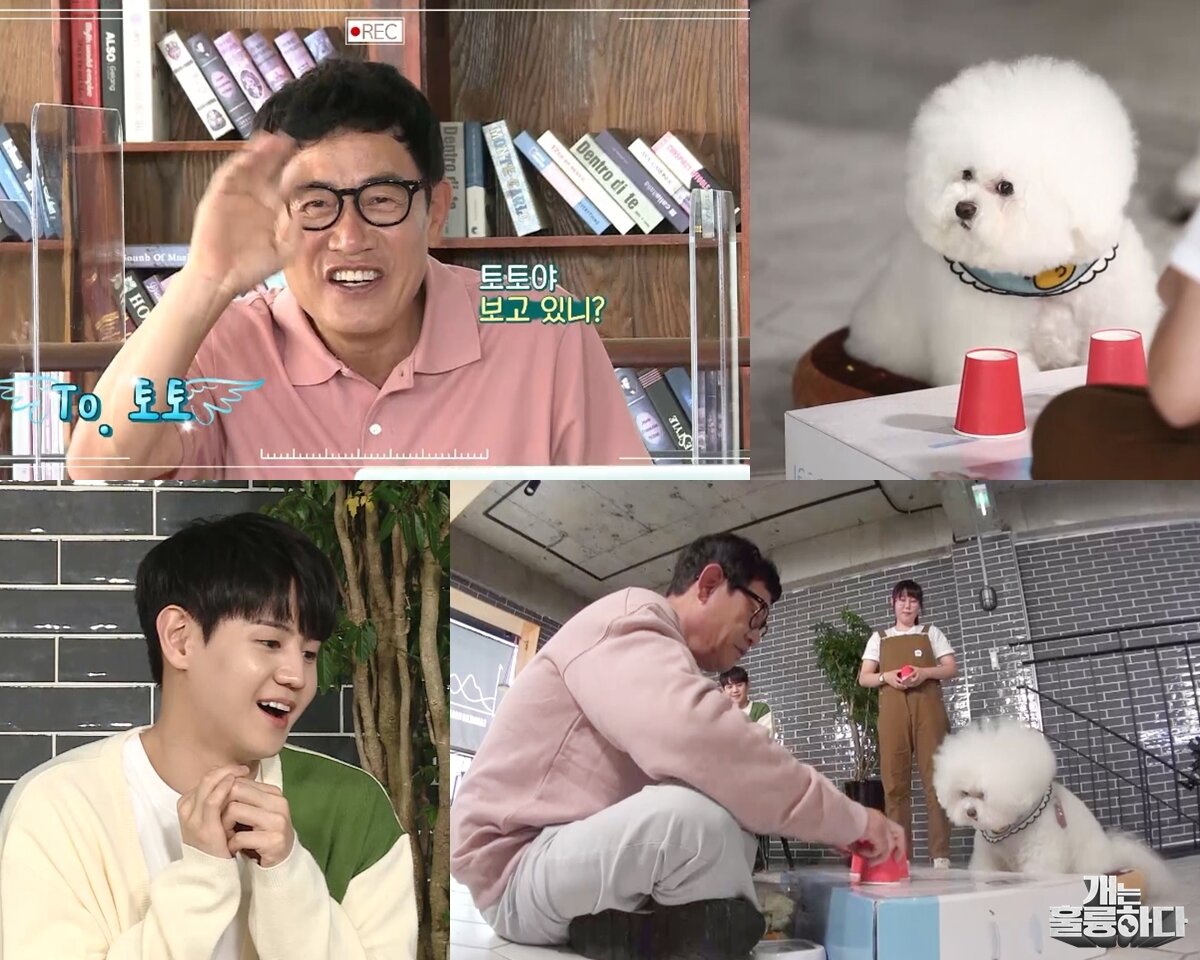 본문 이미지 - 이경규와 강아지. 사진 개는 훌륭하다 제공 ⓒ 뉴스1