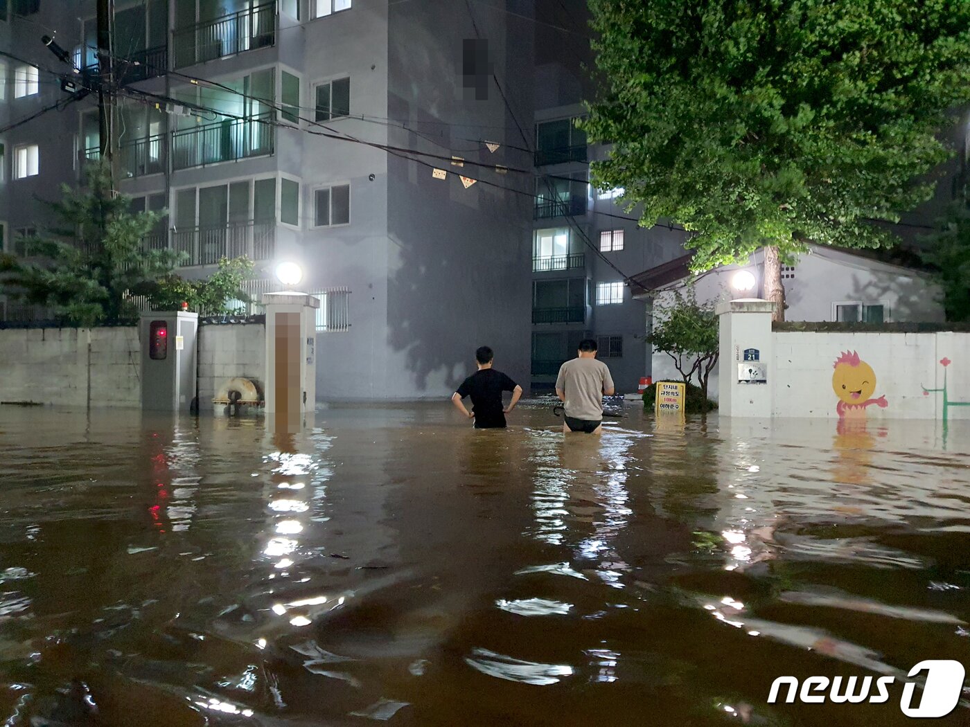 본문 이미지 - 제 9호 태풍 마이삭의 영향으로 많은 비가 내린 지난 2일 오후 강원 양양군 서문2리 일대가 물에 잠겨 있다. 양양군에 따르면 이날 시간당 최대 124.5㎜ 기록적인 폭우가 쏟아졌다.(양양군청 제공) 2020.9.3/뉴스1 ⓒ News1 최석환 기자
