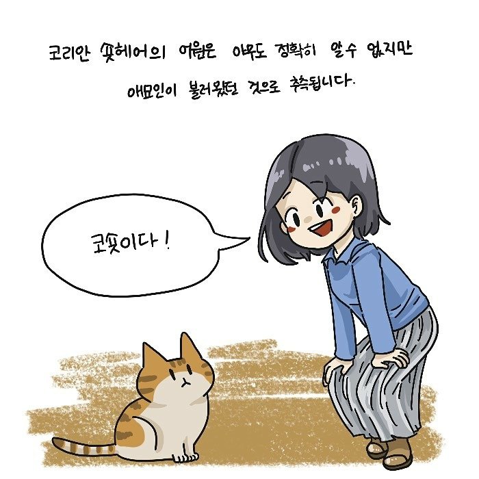 본문 이미지 -  