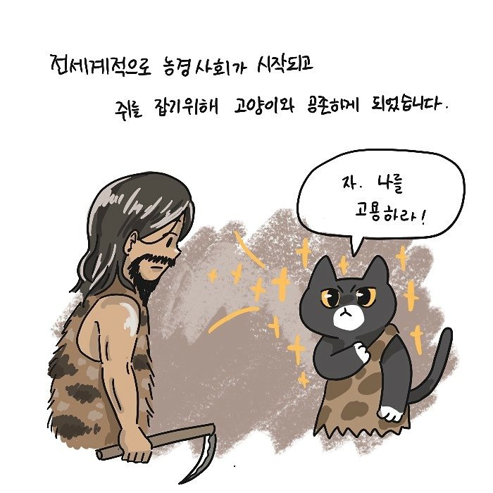 본문 이미지 -  